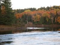 IMG_2972.jpg