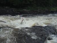 20090711_Jamboree_017.JPG