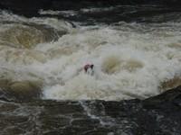 20090711_Jamboree_021.JPG