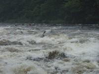 20090711_Jamboree_043.JPG