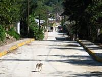 20090102_MexicoKayakTrip_021.JPG