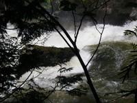 09-Infran1-3.JPG