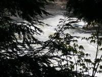 10-Infran1-4.JPG