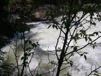 15-Infran1-8.JPG