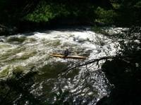 41-P-Nation-slalom-connu7.JPG