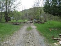 IMG_2020.JPG