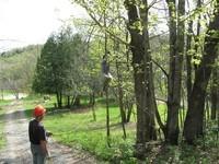 IMG_2027.JPG