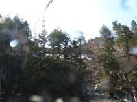 20090328_RougeSeptSoeur_021.JPG