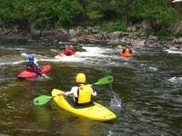 20090627_RougeWhiteDog_006.JPG