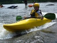 20090627_RougeWhiteDog_018.JPG