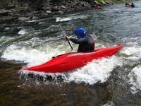 20090627_RougeWhiteDog_023.JPG