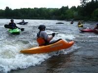 20090627_RougeWhiteDog_030.JPG