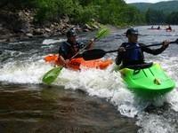 20090627_RougeWhiteDog_032.JPG