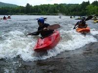 20090627_RougeWhiteDog_038.JPG