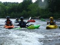 20090627_RougeWhiteDog_040.JPG