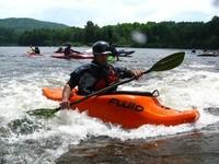 20090627_RougeWhiteDog_041.JPG