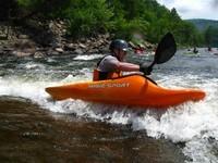 20090627_RougeWhiteDog_043.JPG