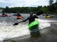 20090627_RougeWhiteDog_046.JPG
