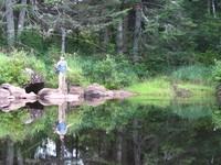 20090808_JacquesCartierTewksbury_033.JPG