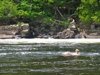 IMG_0292.JPG