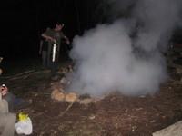 IMG_0347.jpg