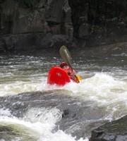 IMG_0446_2.jpg