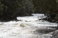 IMG_5533.jpg