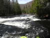IMG_5873.JPG