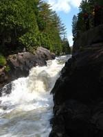 IMG_5884.JPG