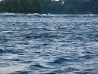 20100707_Lachine_019.JPG