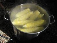 IMG_3677.JPG