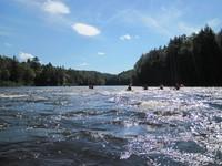 IMG_3694.JPG