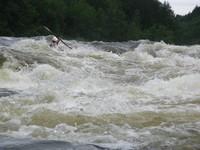 IMG_6559.JPG