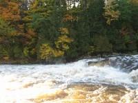 IMG_5168.JPG