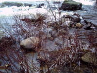 PICT0019.jpeg
