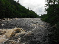 DSCF1039.JPG