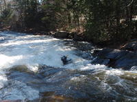 P4300155.JPG
