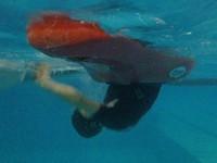 20110316_CoursPiscineGr2_015.JPG