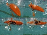 20110316_CoursPiscineGr2_026a.JPG