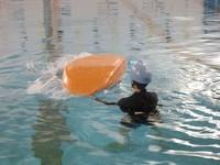 20110327_CoursPiscineGr5_008.JPG