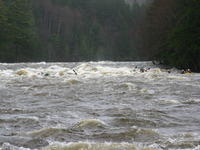 20110505_GrandPrixRouge_047.JPG