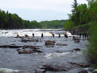 20110528_InitiationRiviere_025.JPG