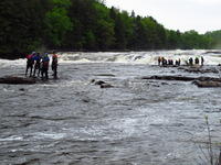 20110528_InitiationRiviere_027.JPG