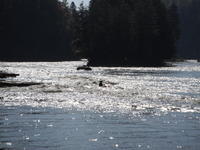 DSCF0889.JPG
