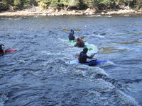 DSCF0904.JPG