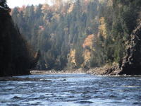 DSCF0949.JPG