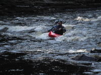 DSCF0951.JPG