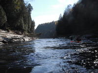DSCF0952.JPG