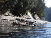DSCF0954.JPG