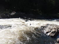 P7090009.JPG